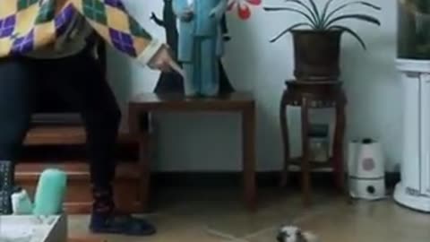 Monkey go Happy New