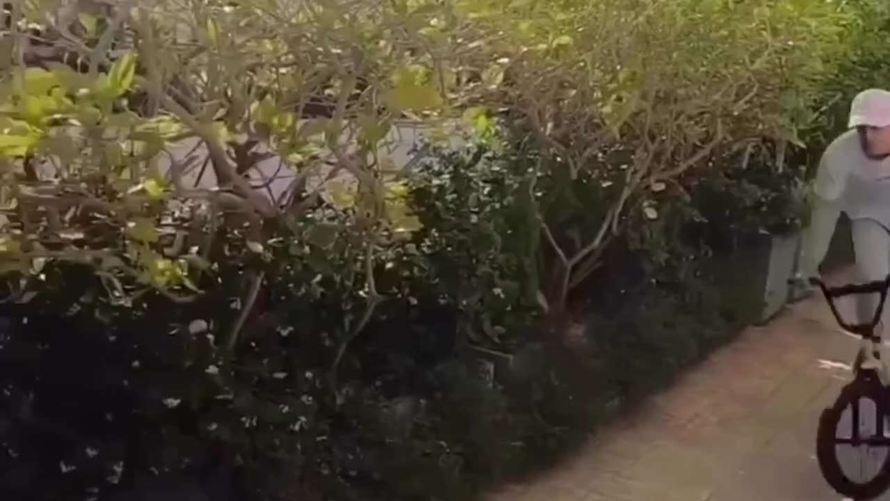 Live India