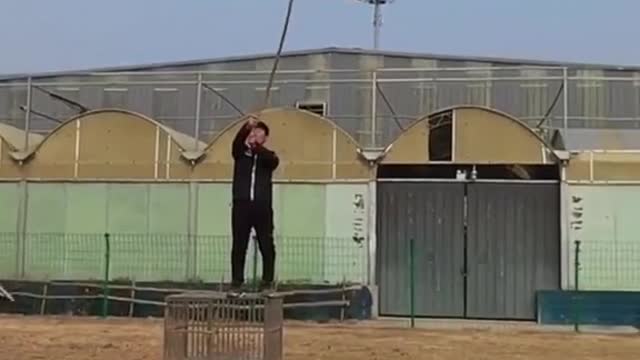 Omg this dog can fly! Super animal dog