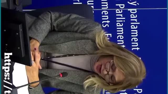 European Union Meeting