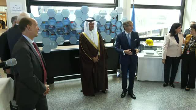 International Atomic Energy Agency (IAEA): ReNuAL2 Side Event