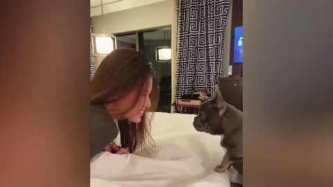 Funny jokes with animals. Part 4