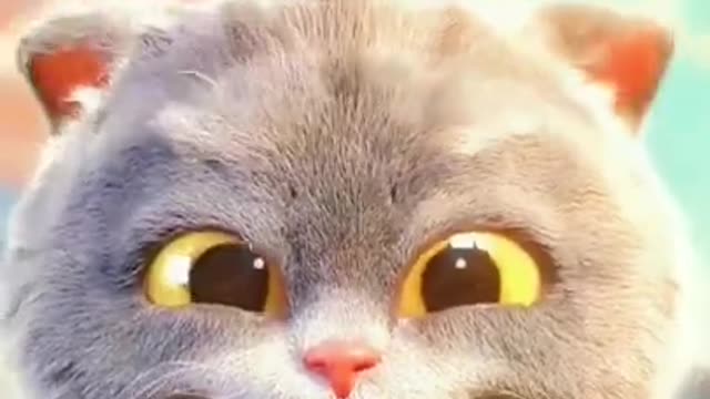 Funny cat doing Tik Tok Challenge