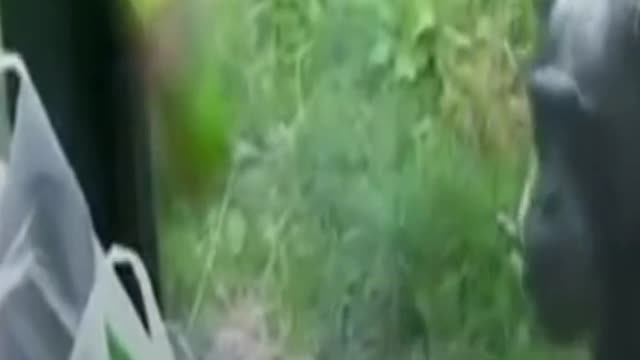 A monkey tells a human that he is thirsty