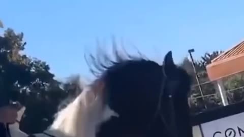 Wait for the End 😂😂😂 #viralshorts #funnyshorts #trending #viral #foryou #funnyvideo