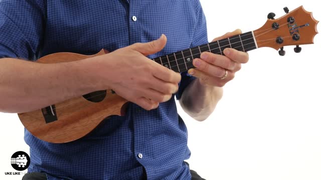 Ukulele beginners course