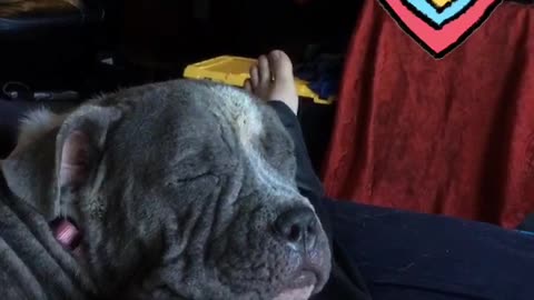 Jubilee waking up