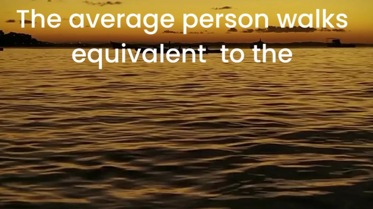 DID YOU KNOW ??