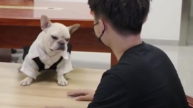 Dog imitating its very funny owner