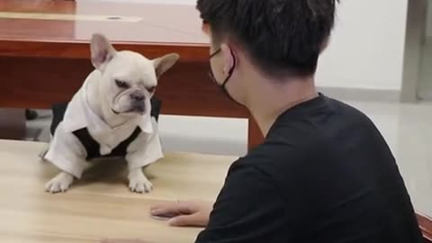 Dog imitating its very funny owner