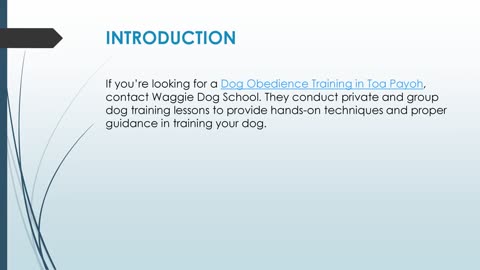 Best Dog Obedience Training in Toa Payoh