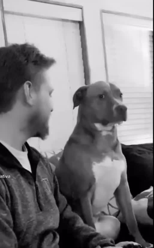 Bop it twist pull it