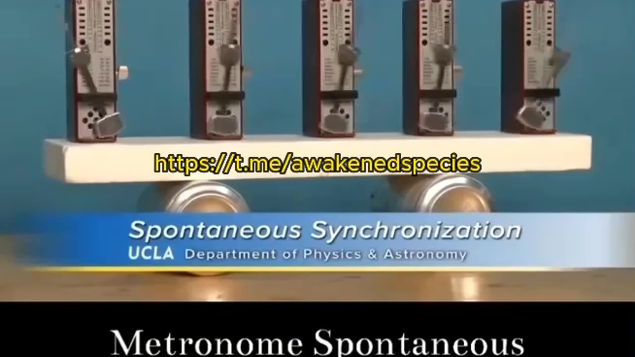 This is a great example on how different rhythms and vibrations eventually synchronize