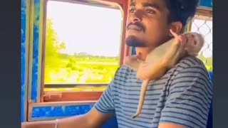 Truck driver enjoy with naughty monkey