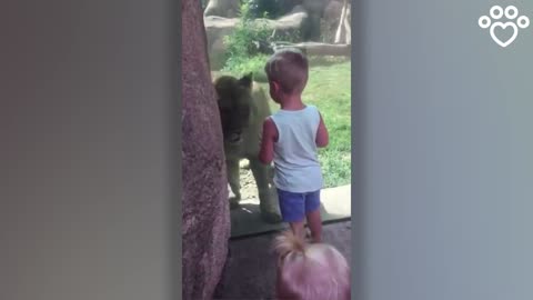 Lion is playing with little kids