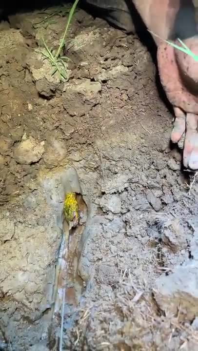 Amazing Rural Fishing Video | Best Asian Fishing Technique