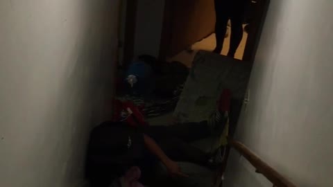 Cowboy hat slides down stairs on cardboard