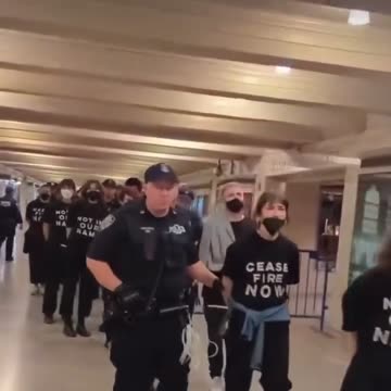 Protesters demanding for Ceasefire arrested for causing the shutdown of Grand Central Station