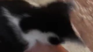 dirt is literally tiny