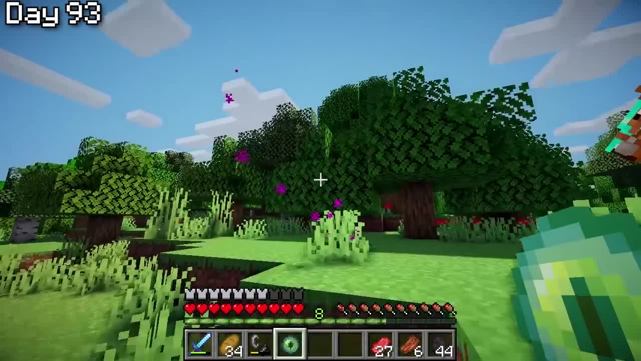 100 Days in a Minecraft World