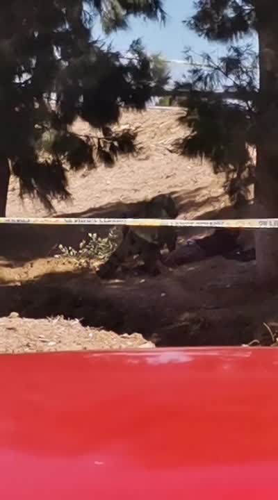 Robbers kidnap Cape Town CIT guard, strap bomb to his body