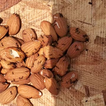 the 🐜 ants still my Almonds