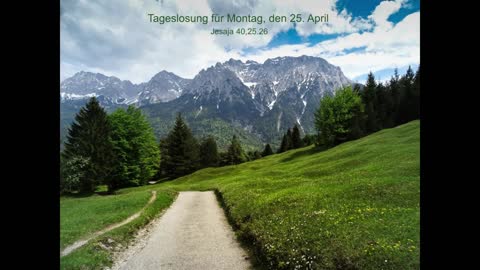 Tageslosung für Montag, den 25. April