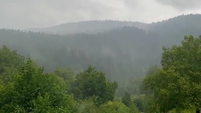Beautiful Nature. Beautiful Rain 🌧️