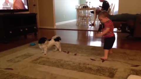 Dogs and Kids Spinning Together