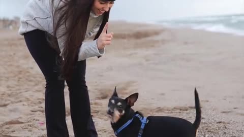 Funniest and cutest dog