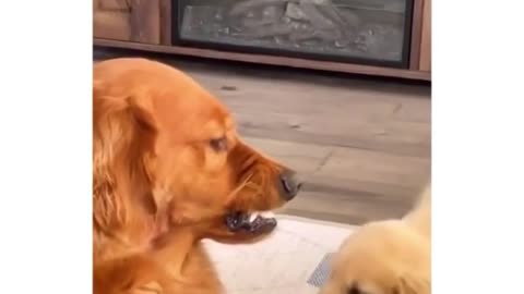 The Self Control. #viral #rumble