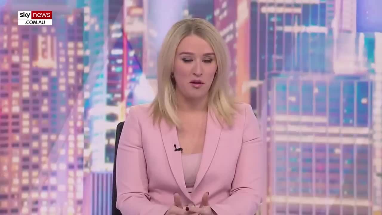 HCNN - Media avoids covering Hunter Biden 'like the plague'