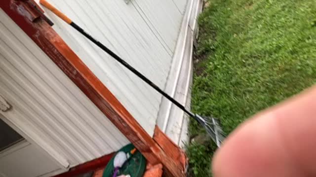 Marijuaa Derek hunter cannAbis weed