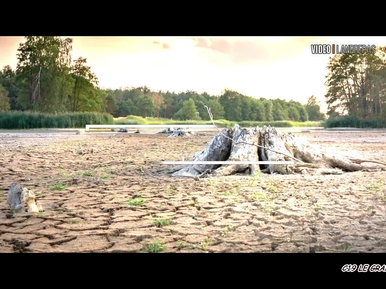 CANICULE DE 1976 SANS BFM & CONSORT... ÇA Y EST ! VOUS SAISISSEZ L'ARNAQUE ???