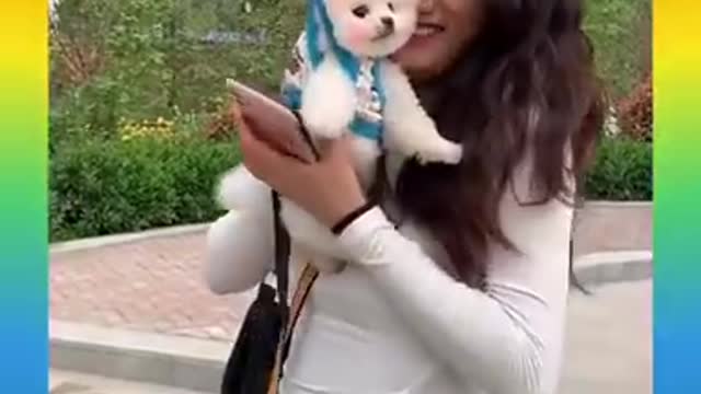 06_Cute and Funny Dog Videos Compilation_#short