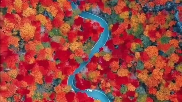 Autumn in Vermont is gorgeous