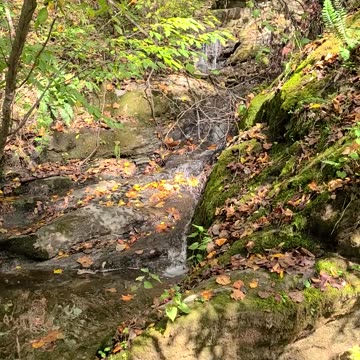 Waterfall and Mystery