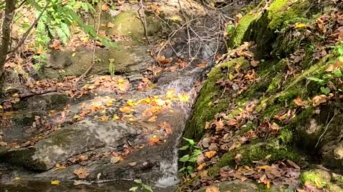 Waterfall and Mystery