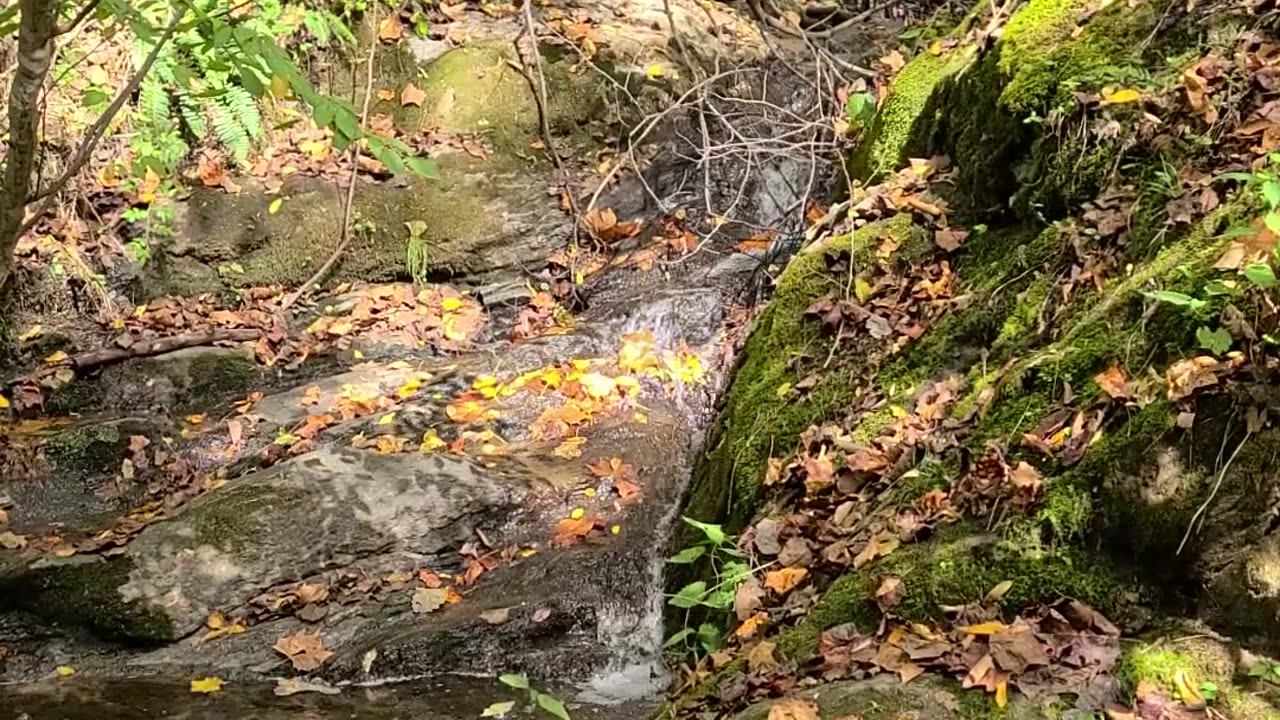 Waterfall and Mystery