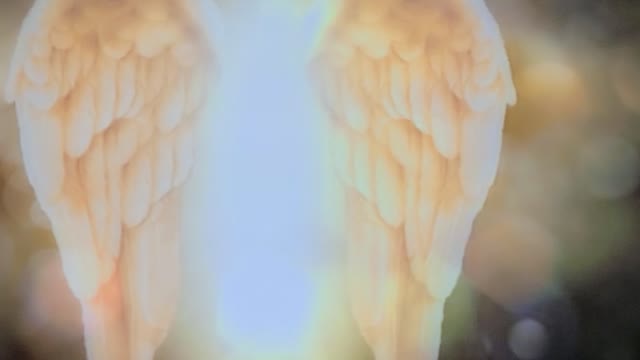 What have you sacriviced