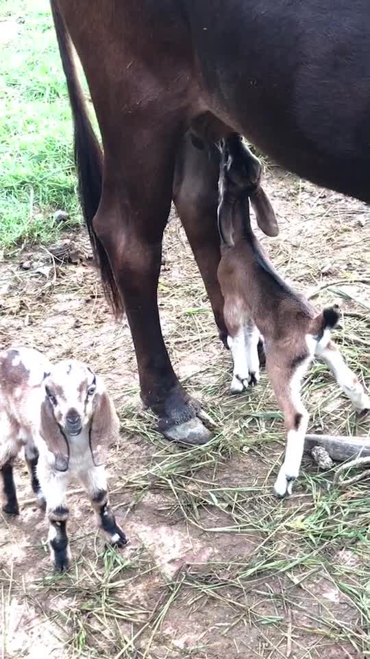 Mother's love never ends either baby is not yourz6