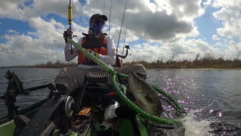 Big Fellsmere Tank - 5 LB Largemouth Bass