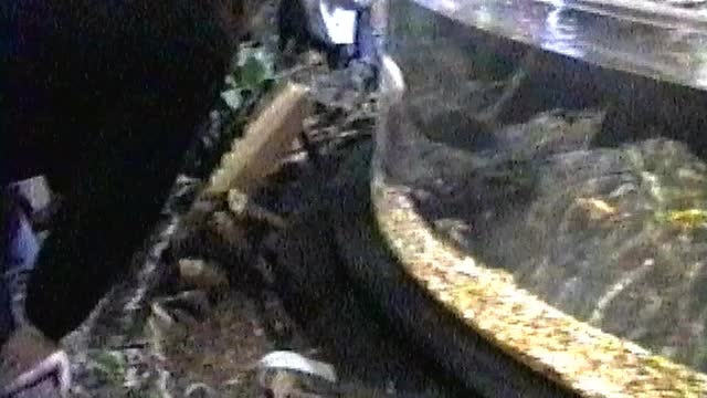 2004pt2