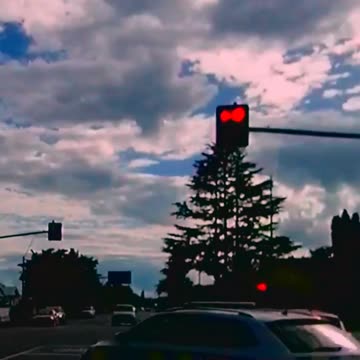 How Does Driver on Daily Dash Cam 2024 #Driver #Dash Cam Footage #DashCam #8