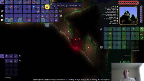 End To End; Terraria, Expert Drunk World; Ep 80