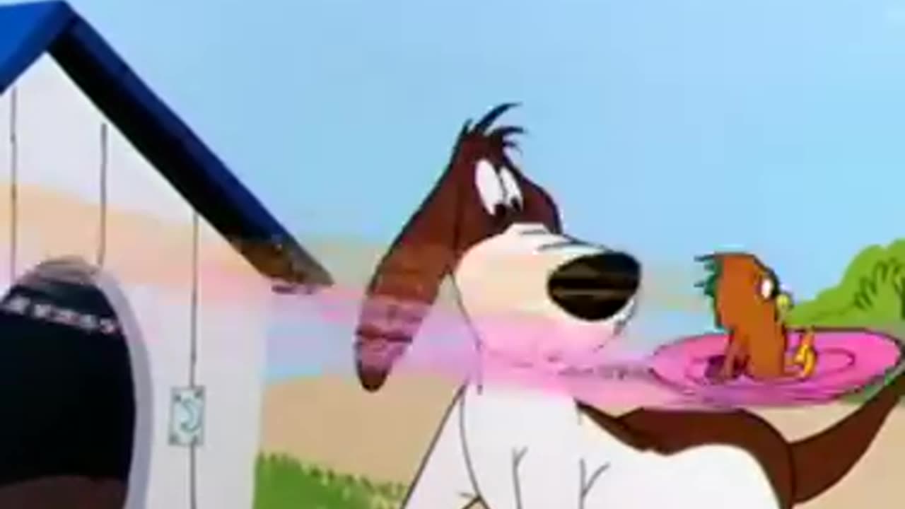 I am sure this video will put a smile on your face.😄😄😄