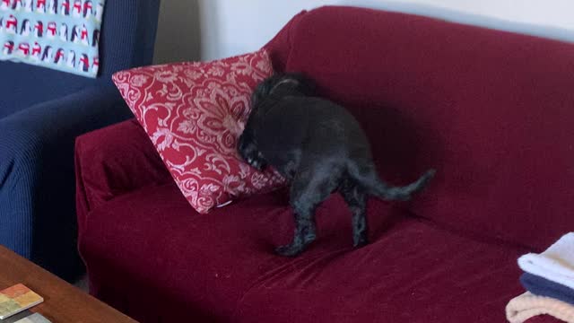 No peeking!