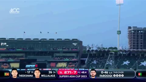 Cricket fans