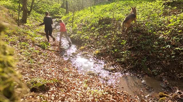 Mother And Child Running Through A Stream With Their Dog