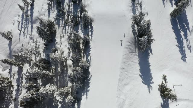 Forest ice skating ❄☃️ snow forest scenes